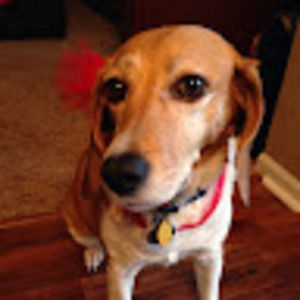 Meet your Posher, Valerie